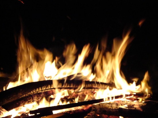 maifire 14
