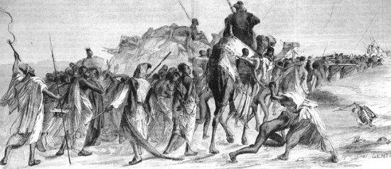 AFRIQUE NOIRE - CONVOI D'ESCLAVES NOIRS