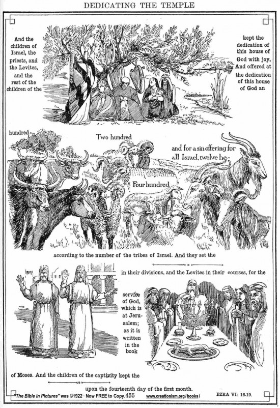 Dedicating-the-Temple-4