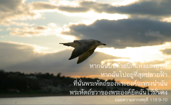 ภาพถ่ายโดย Danny Chapman