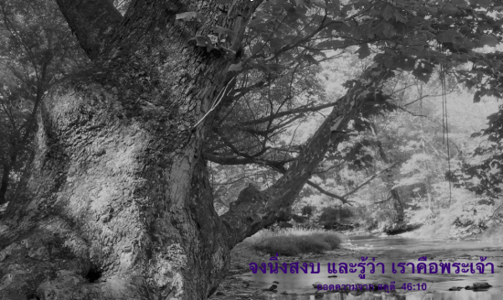 ภาพถ่ายจาก Nicholas A. Tonelli  Some rights reserved