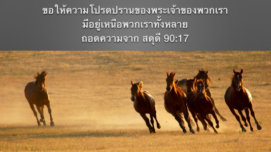 Screen Shot 2015-08-01 at 11.12.18 AM