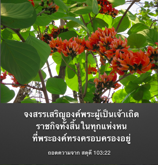 Screen Shot 2015-10-03 at 10.18.05 AM