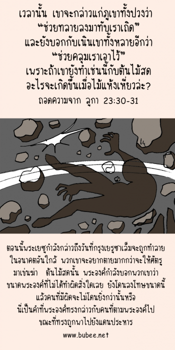 Luke23-mobile-v30-31