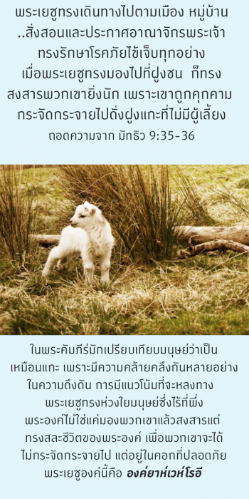 Yahweh-roiAug1719-Mat9-36