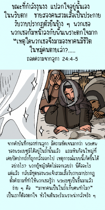 luke24Mobilev4-5