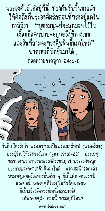 luke24Mobilev6-8re