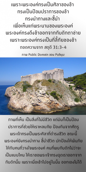 The-RockSPs31-3-4ept0719-